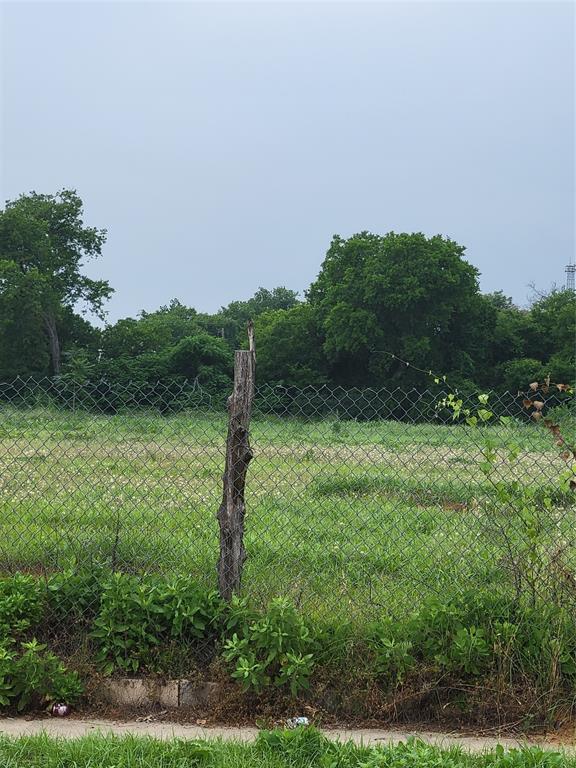 a view of a green field with lots of bushes