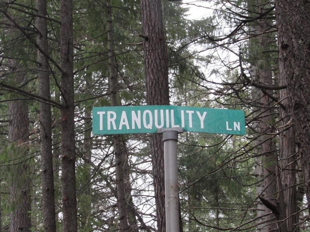 a view of a street sign under a large tree