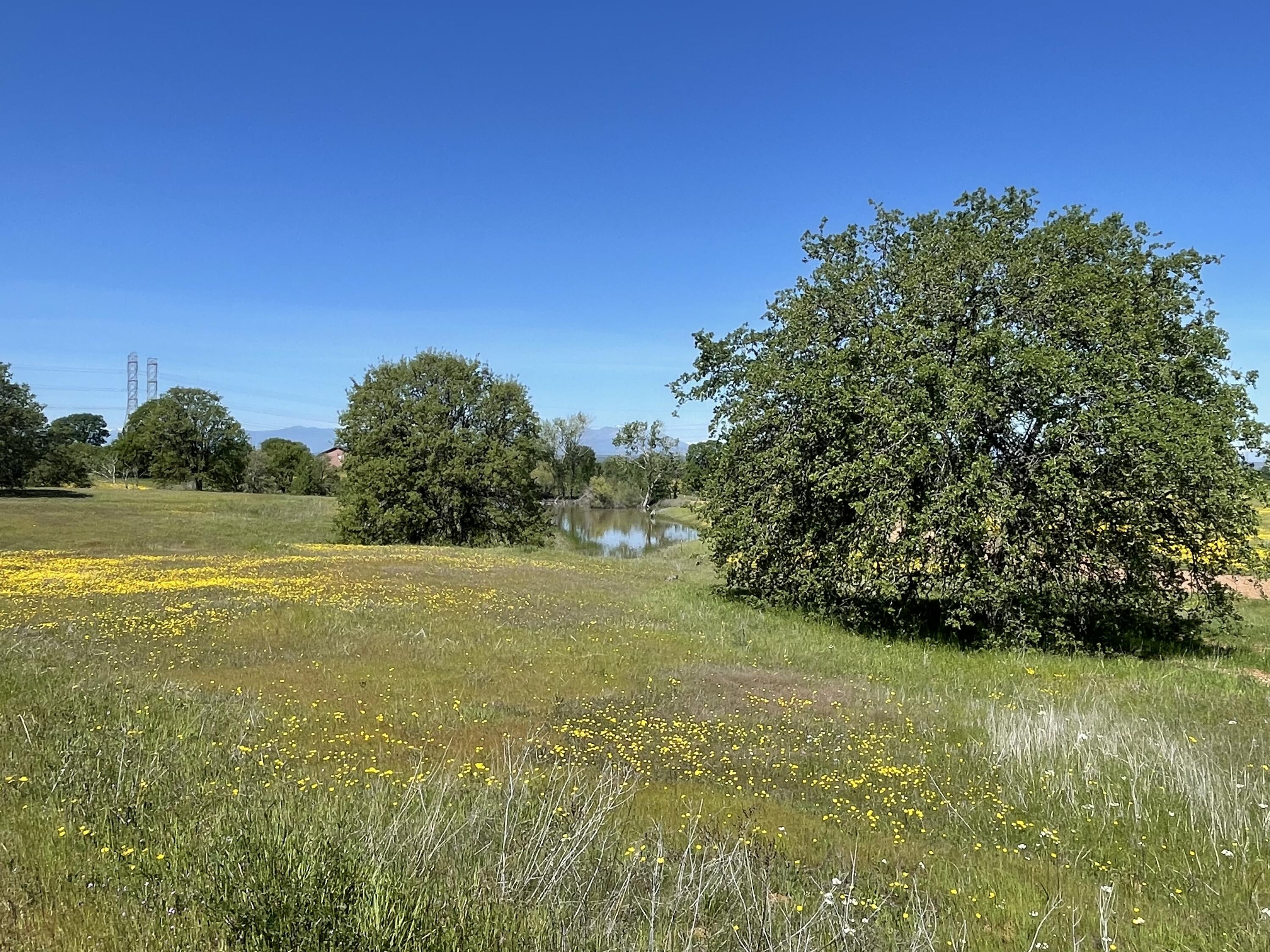 a view of a field with an ocean view