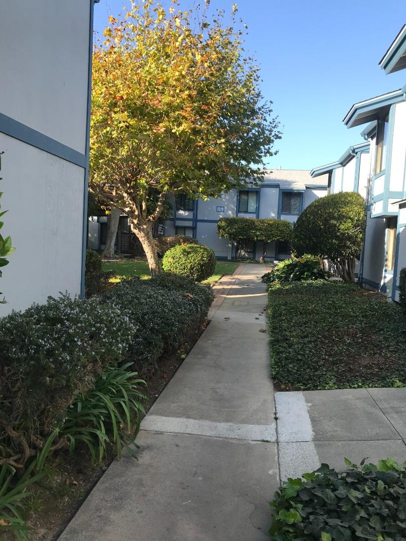 a view of a street with potted plants and large trees