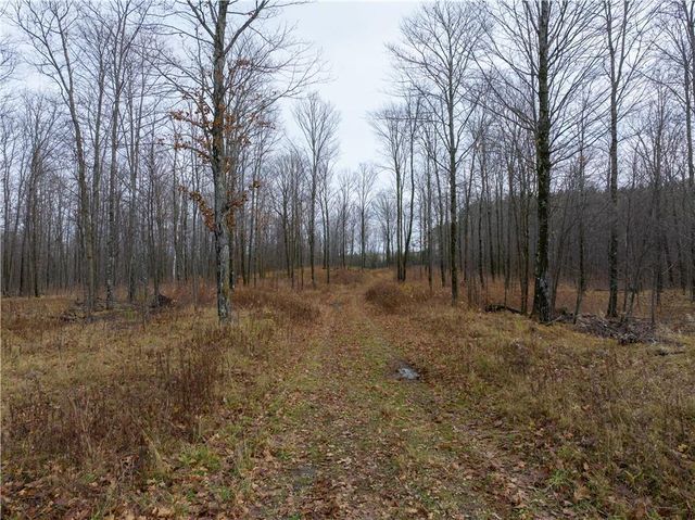 $159,900 | 53-acres 53-acres Otto Olson Road | Grand View