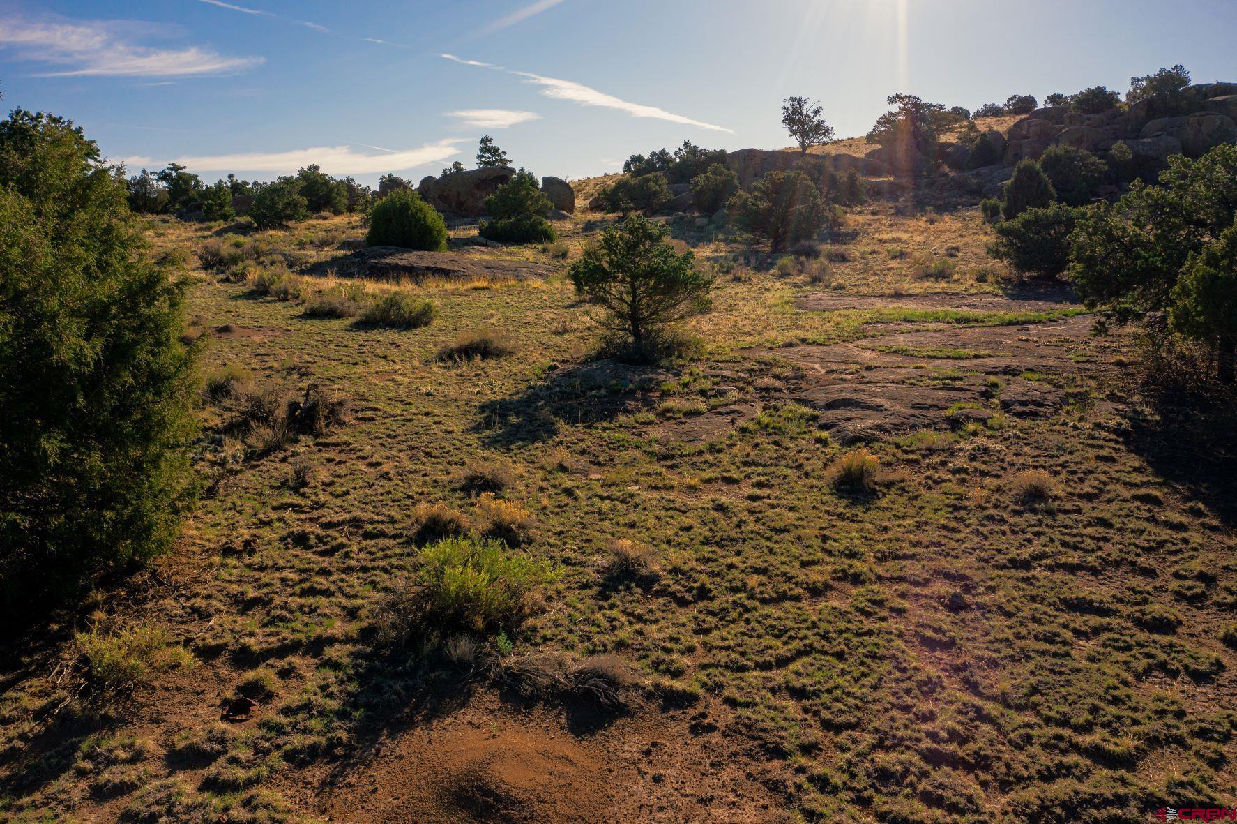 a view of a field with trees in the background