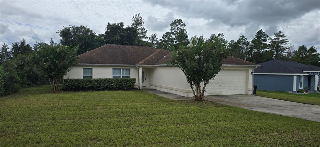 a view of a house with backyard and a tree