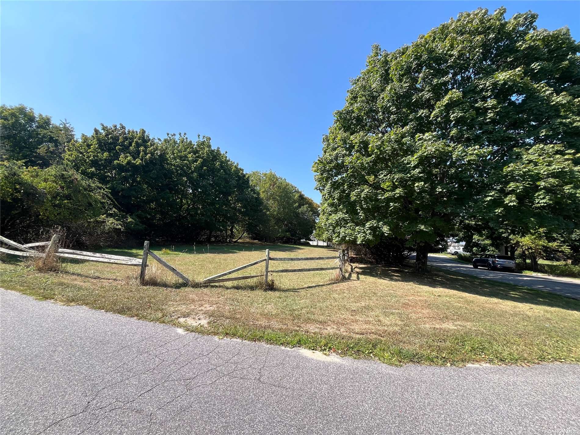 a view of backyard with large trees