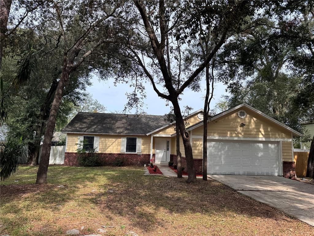 a view of a house with a large tree and a yard