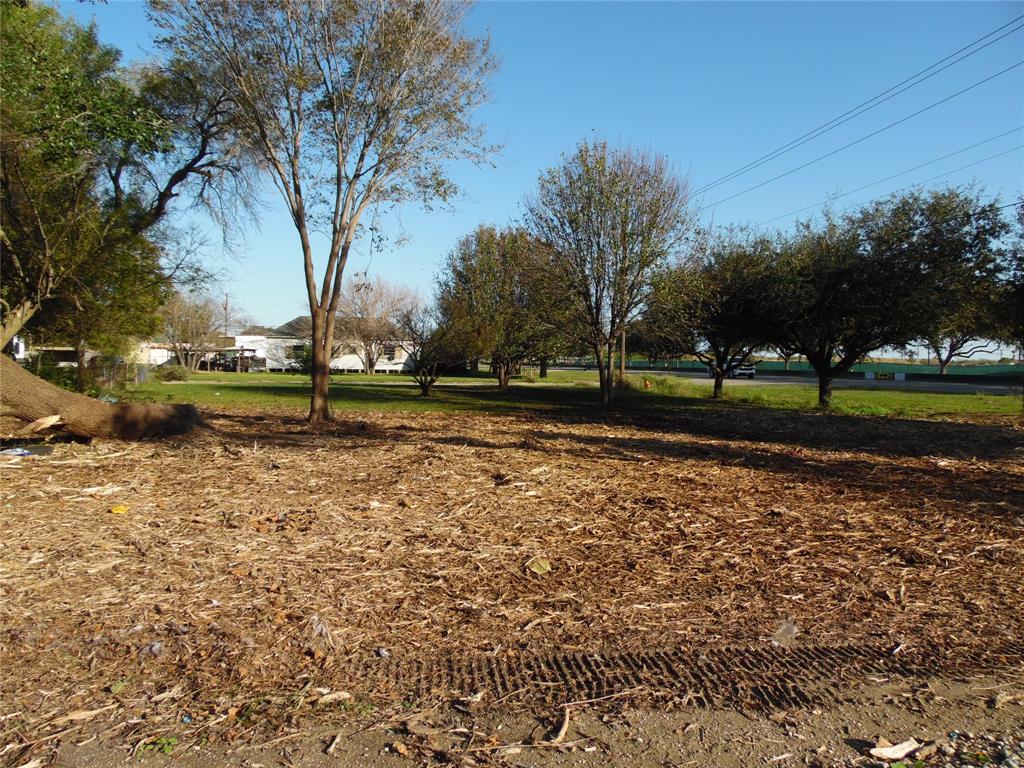 a view of outdoor space with garden and trees