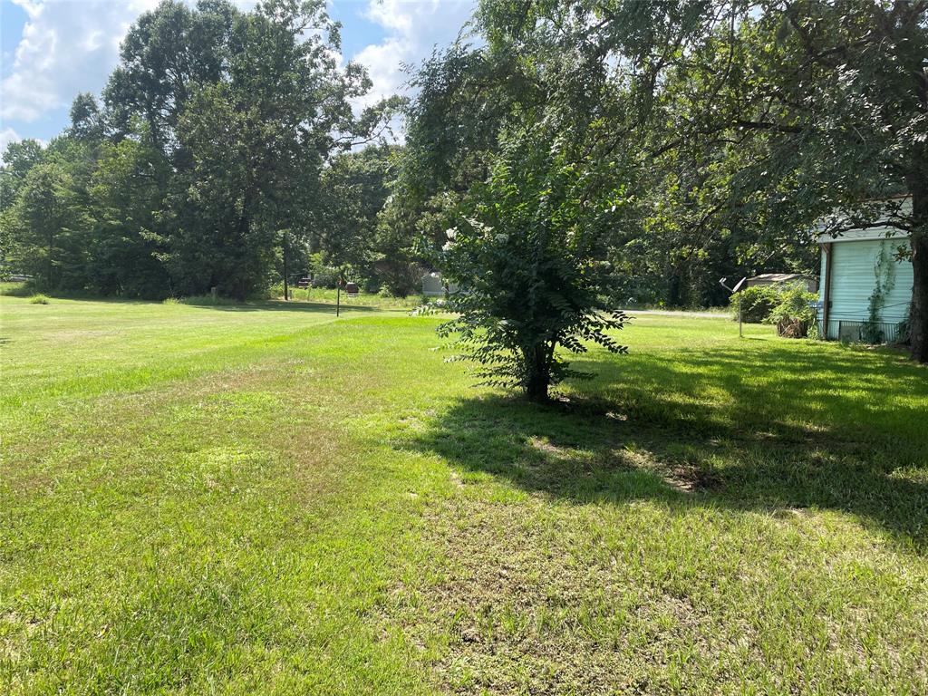 a view of a trees with a yard