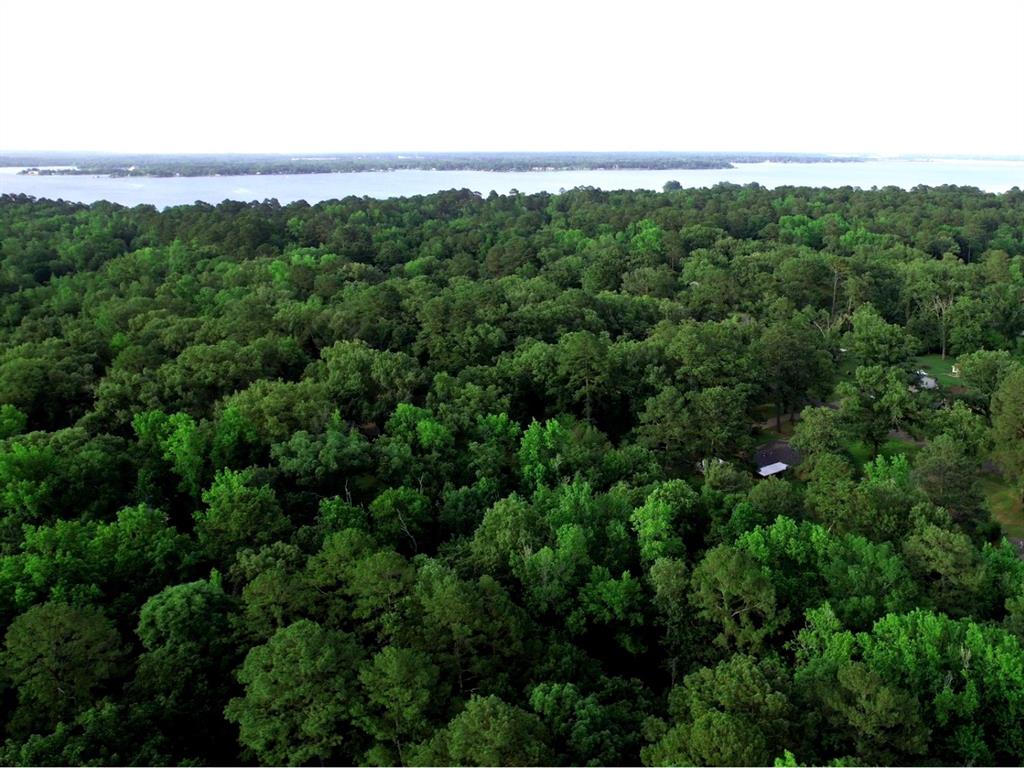 a view of a city with lush green forest