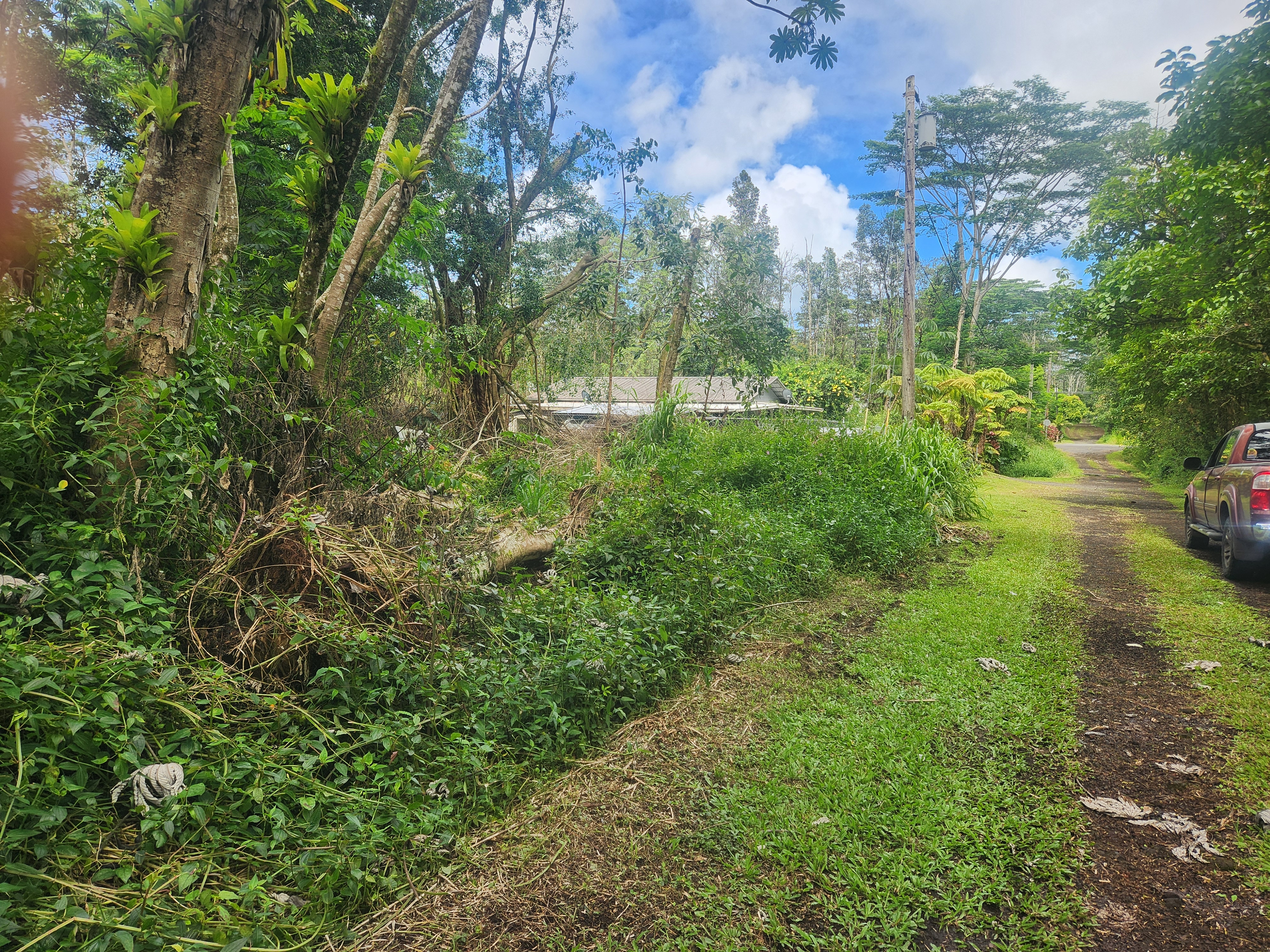 a view of outdoor space and yard