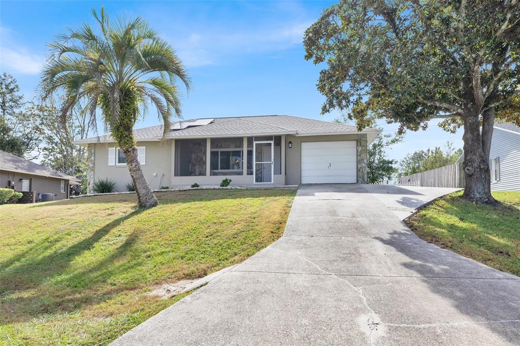 a house with palm tree in front of it