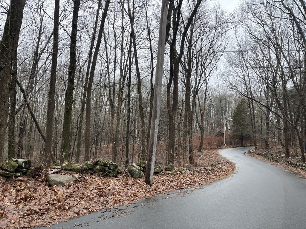 a backyard of a house with lots of trees