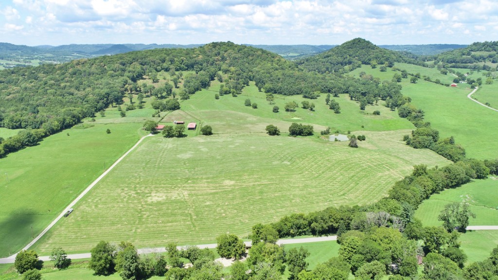 a view of a lush green hillside and houses