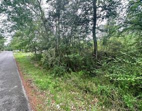 a view of a lush green forest