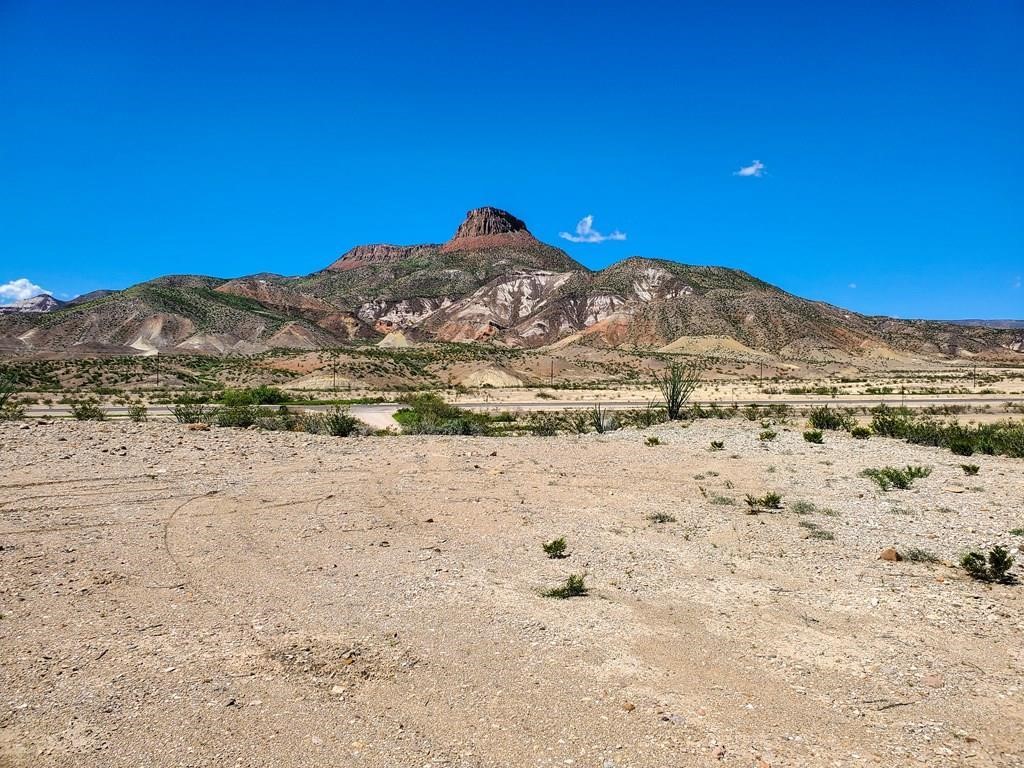 a view of a dry yard with mountains in the background