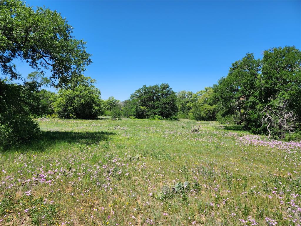 a view of a green field with wooden fence