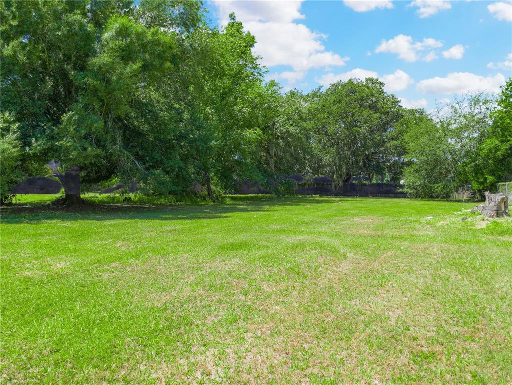 a view of a field of grass and trees