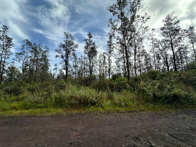 $35,000 | 3536 Road 4 (io Kea) Mountain View | Hawaiian Acres