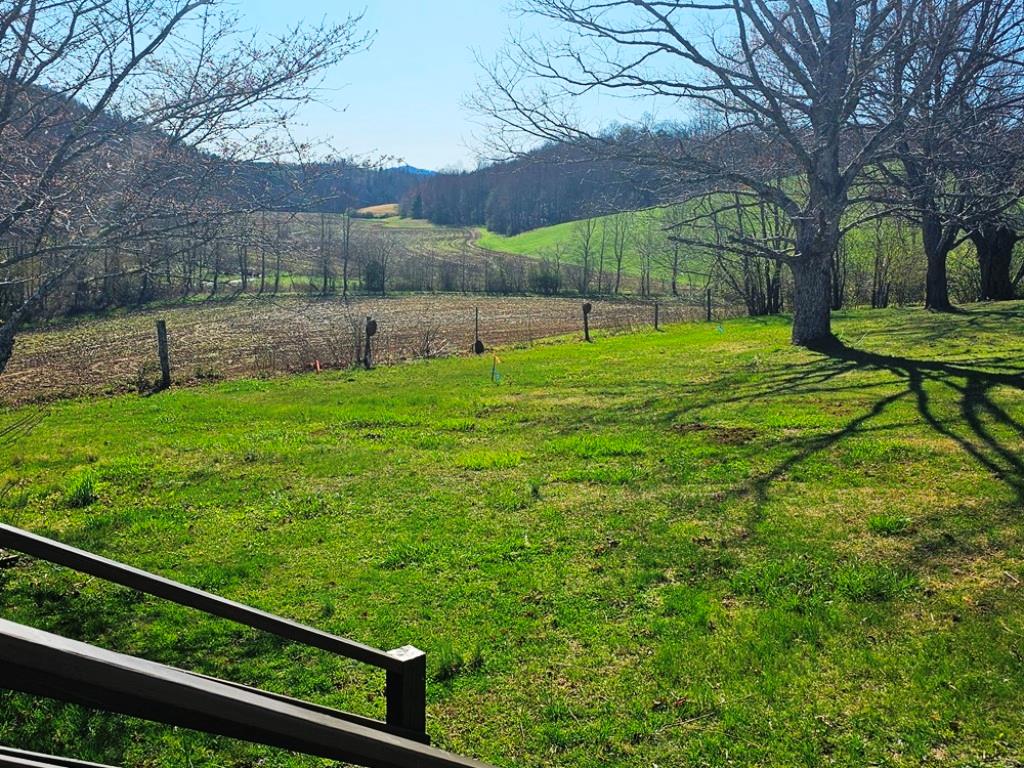 a view of a backyard with a garden