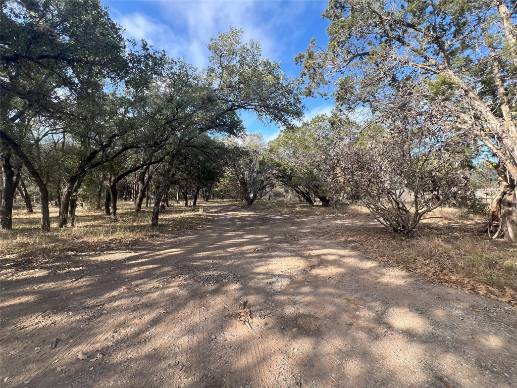 a view of road and trees