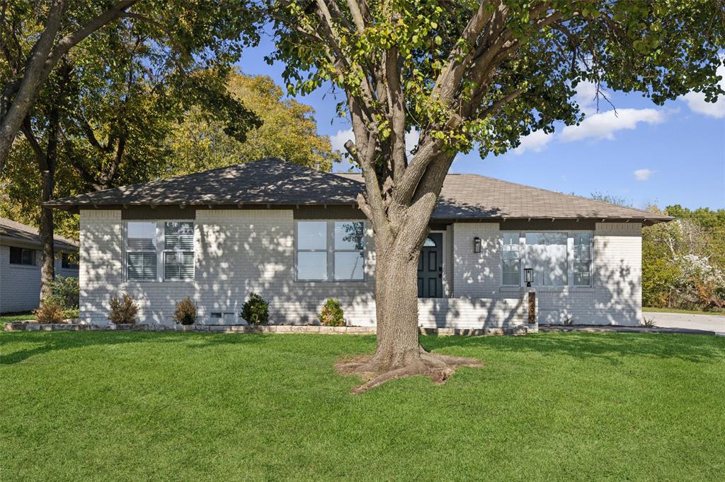 a view of a back yard of the house with an tree and table