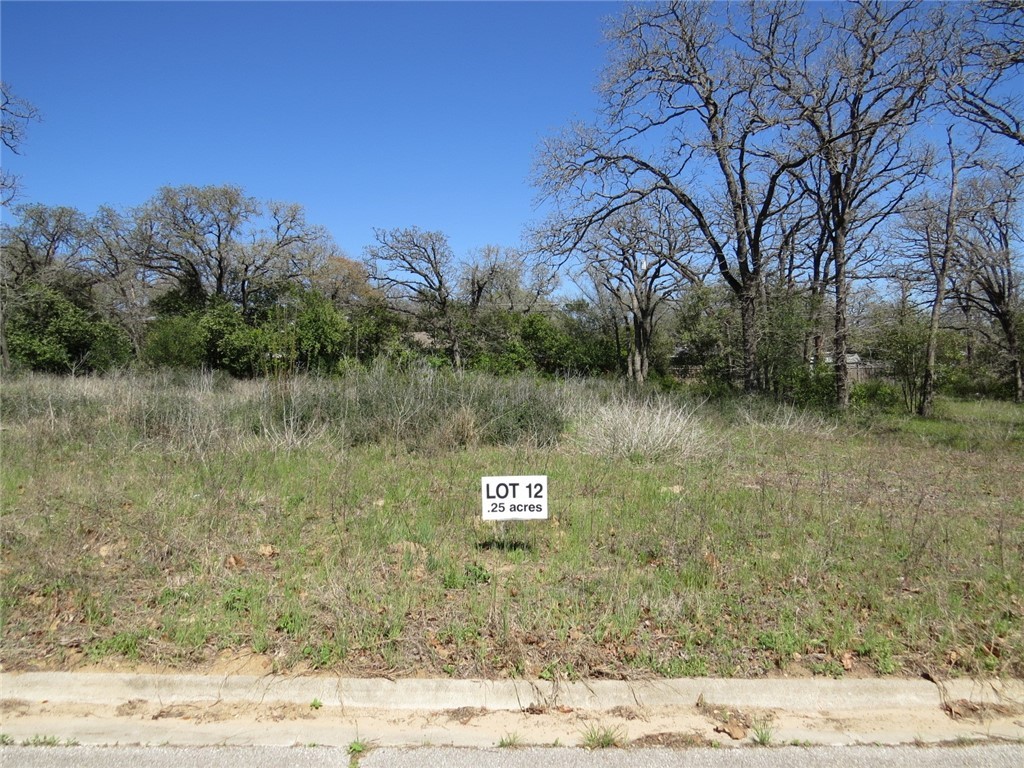 a view of a yard