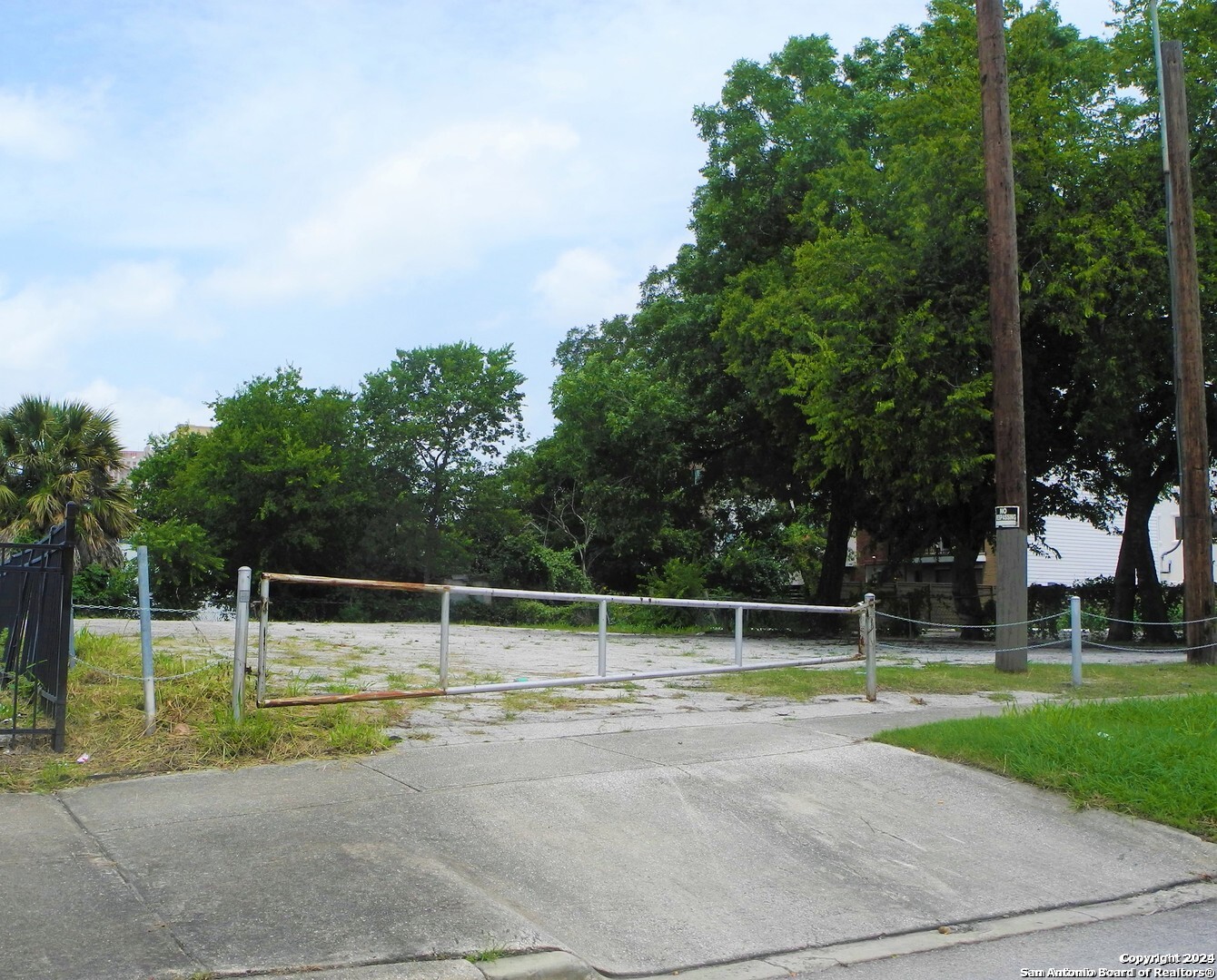 a view of a tennis ground with a large trees