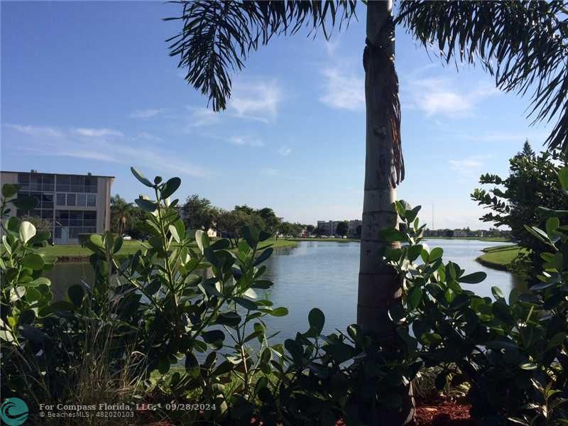 a lake view with boat and palm trees