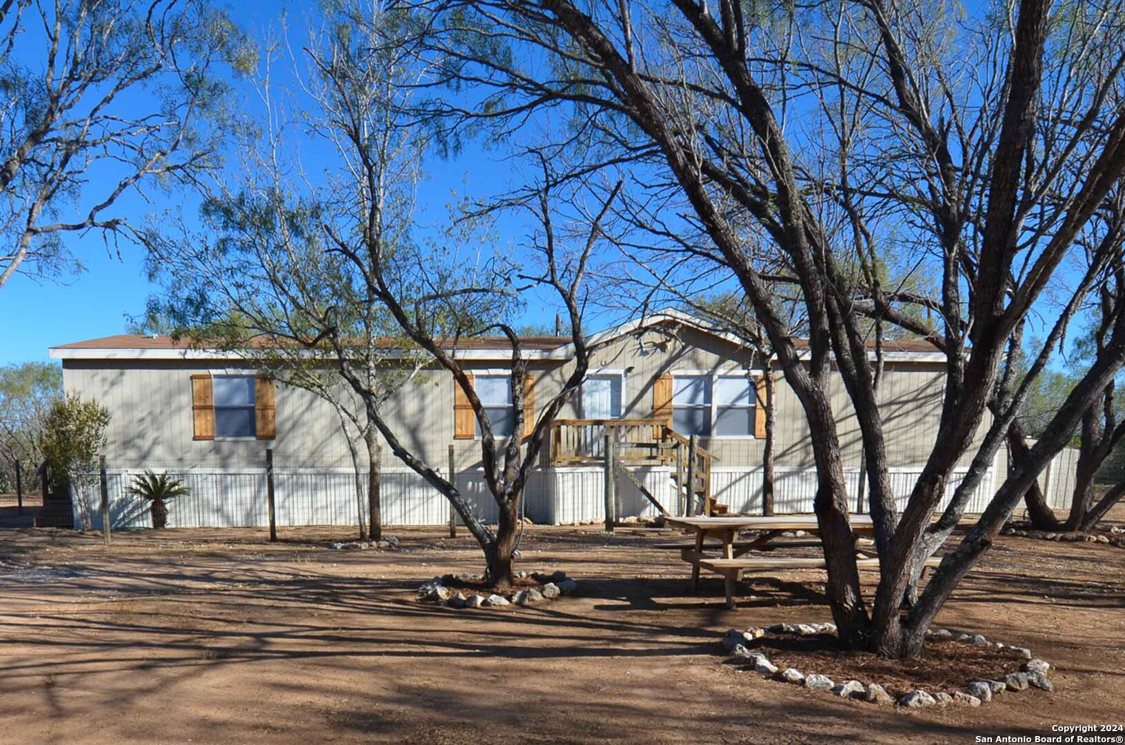 a tree in the middle of a yard