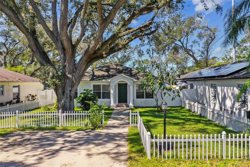 a view of a house with a small yard and a large tree