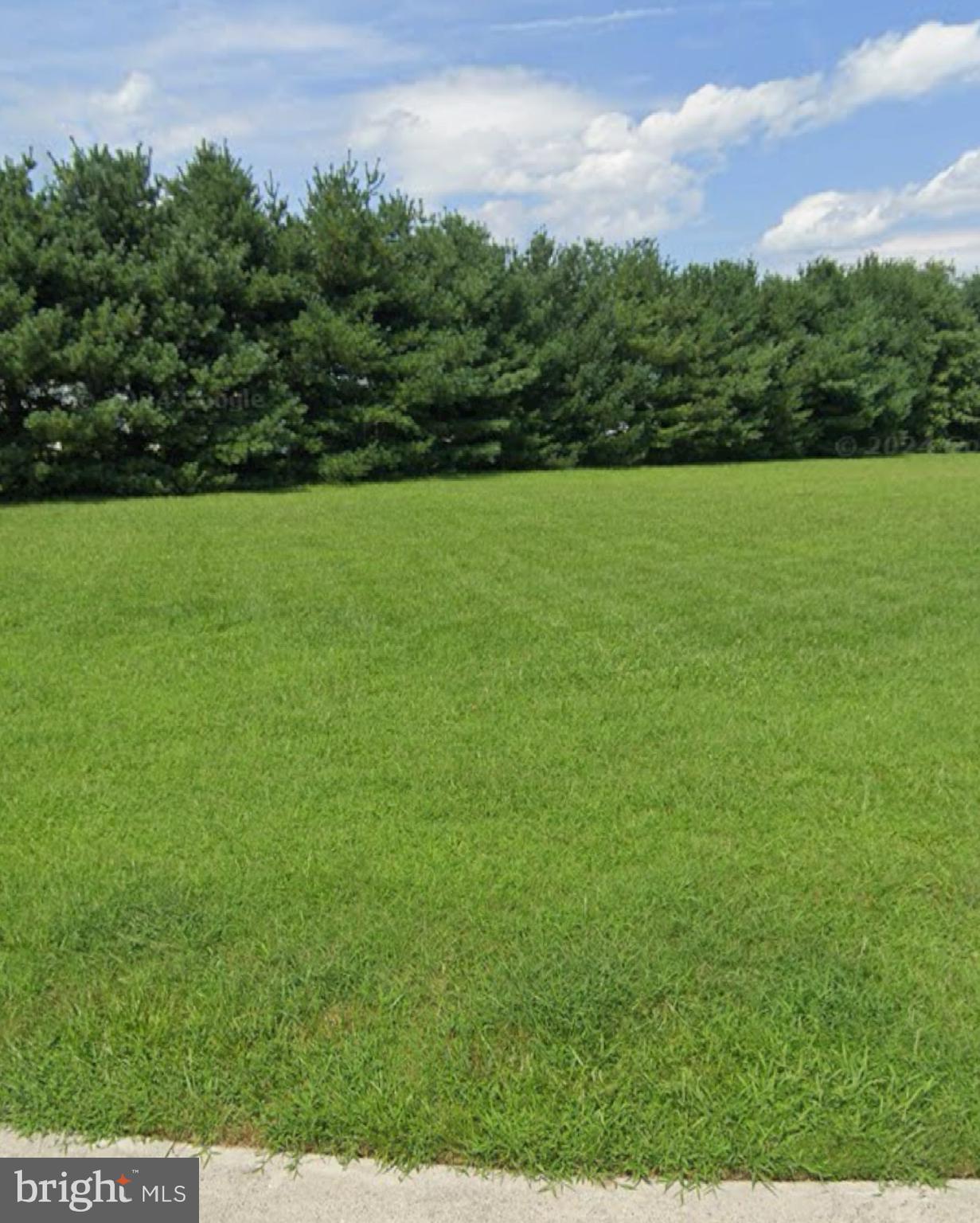 a view of a green field with clear sky