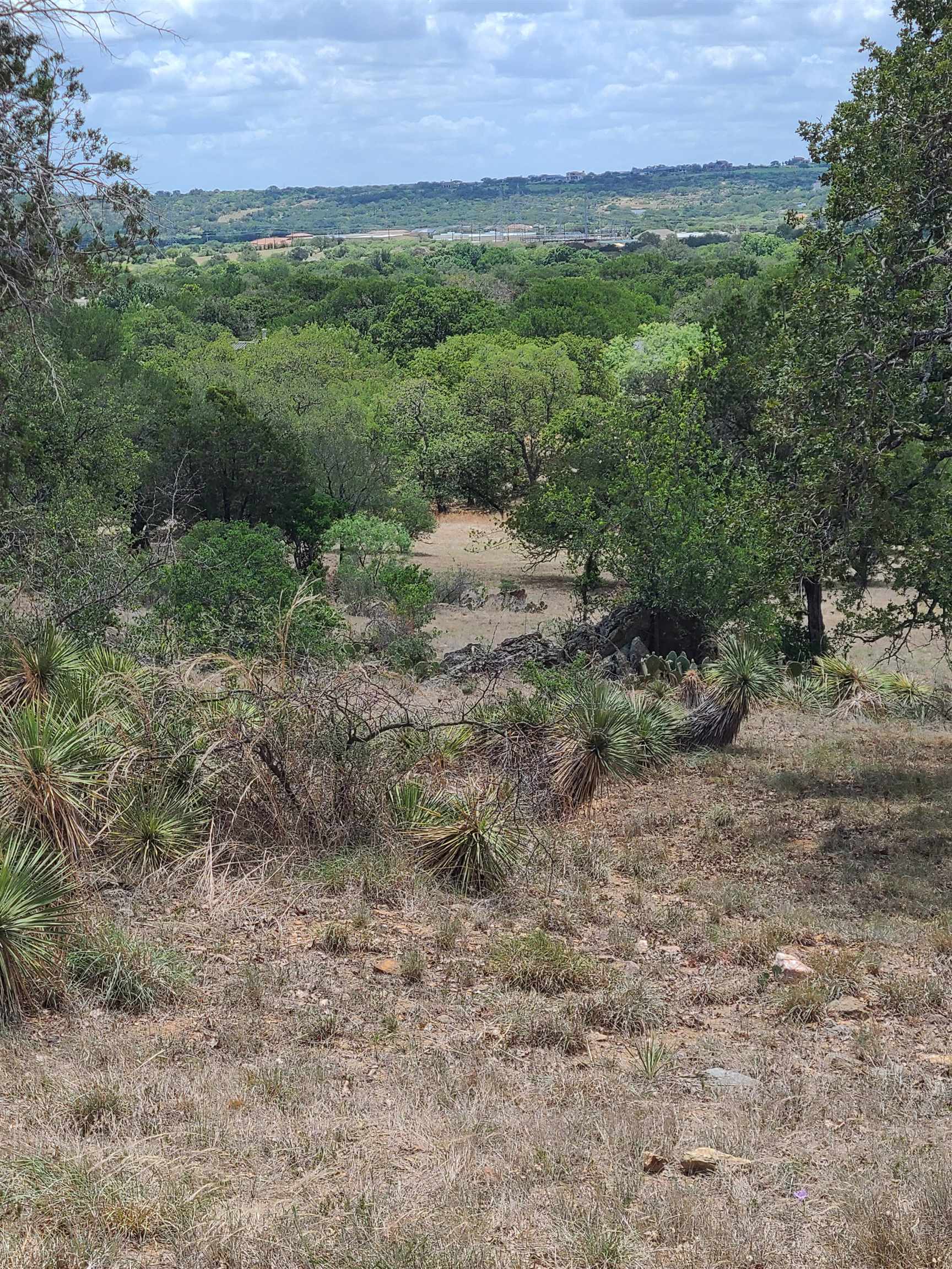 a view of a field with a forest