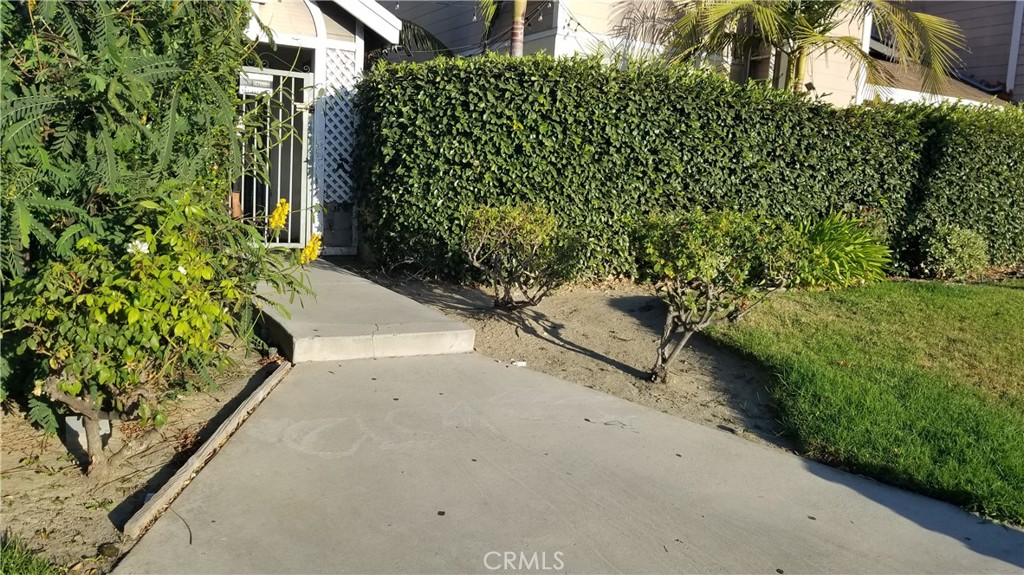 a view of a garden with pathway