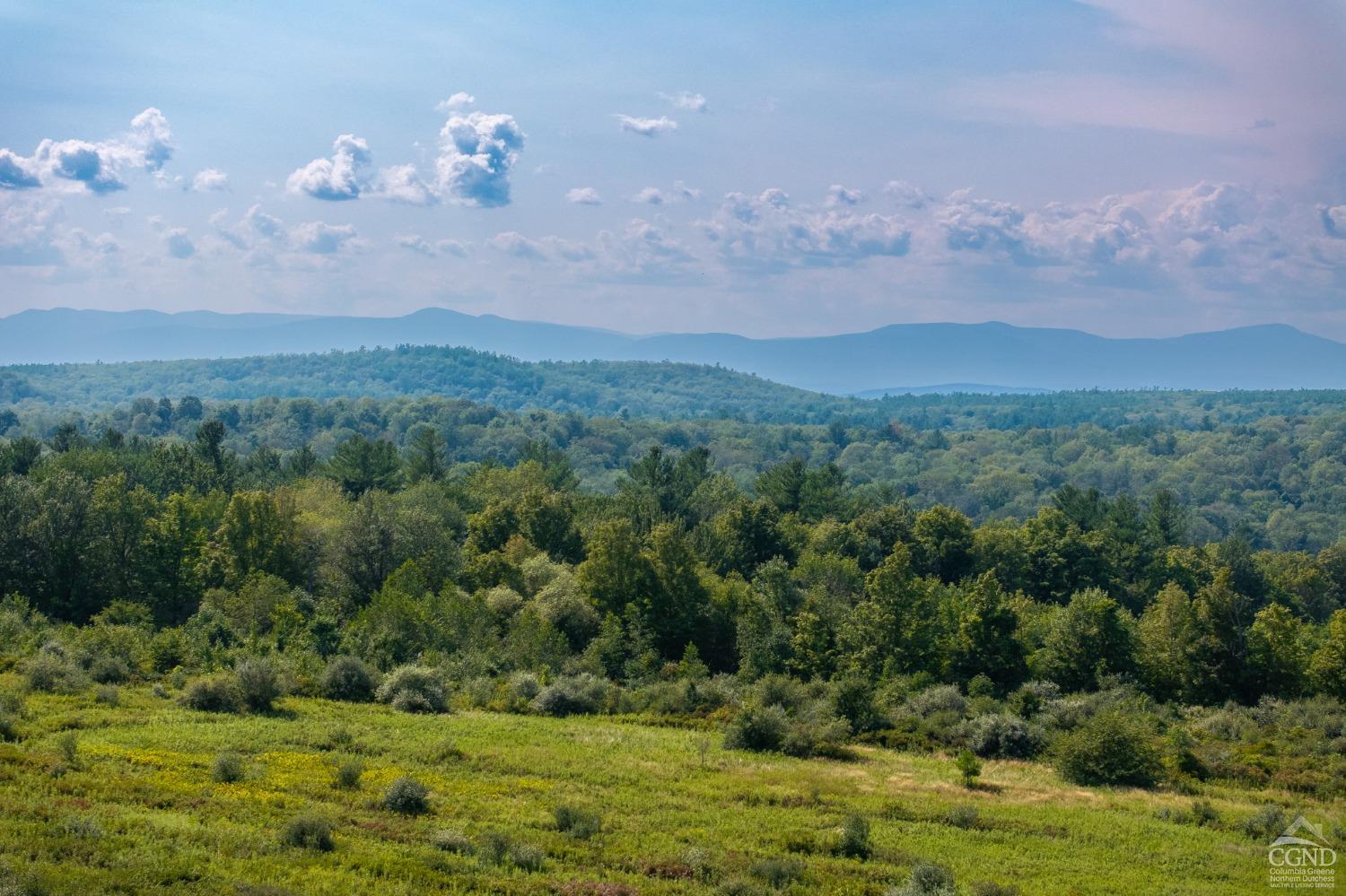 a view of a city with lush green forest