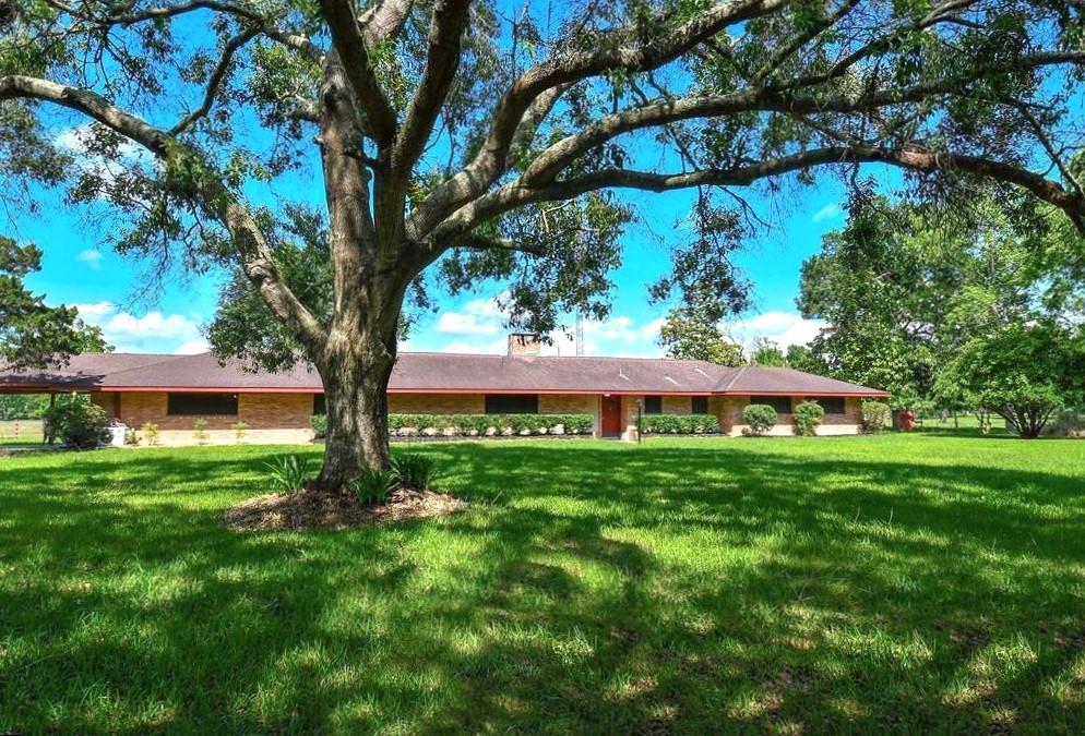 a view of backyard with large trees