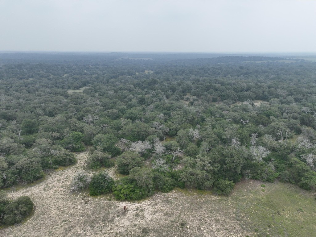 a view of a field