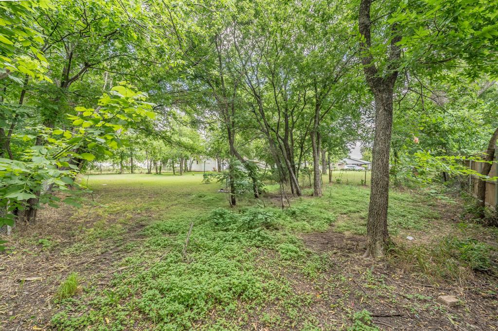 a view of outdoor space and yard