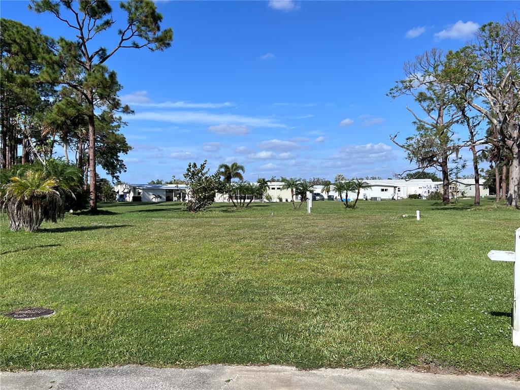 a view of yard with outdoor space