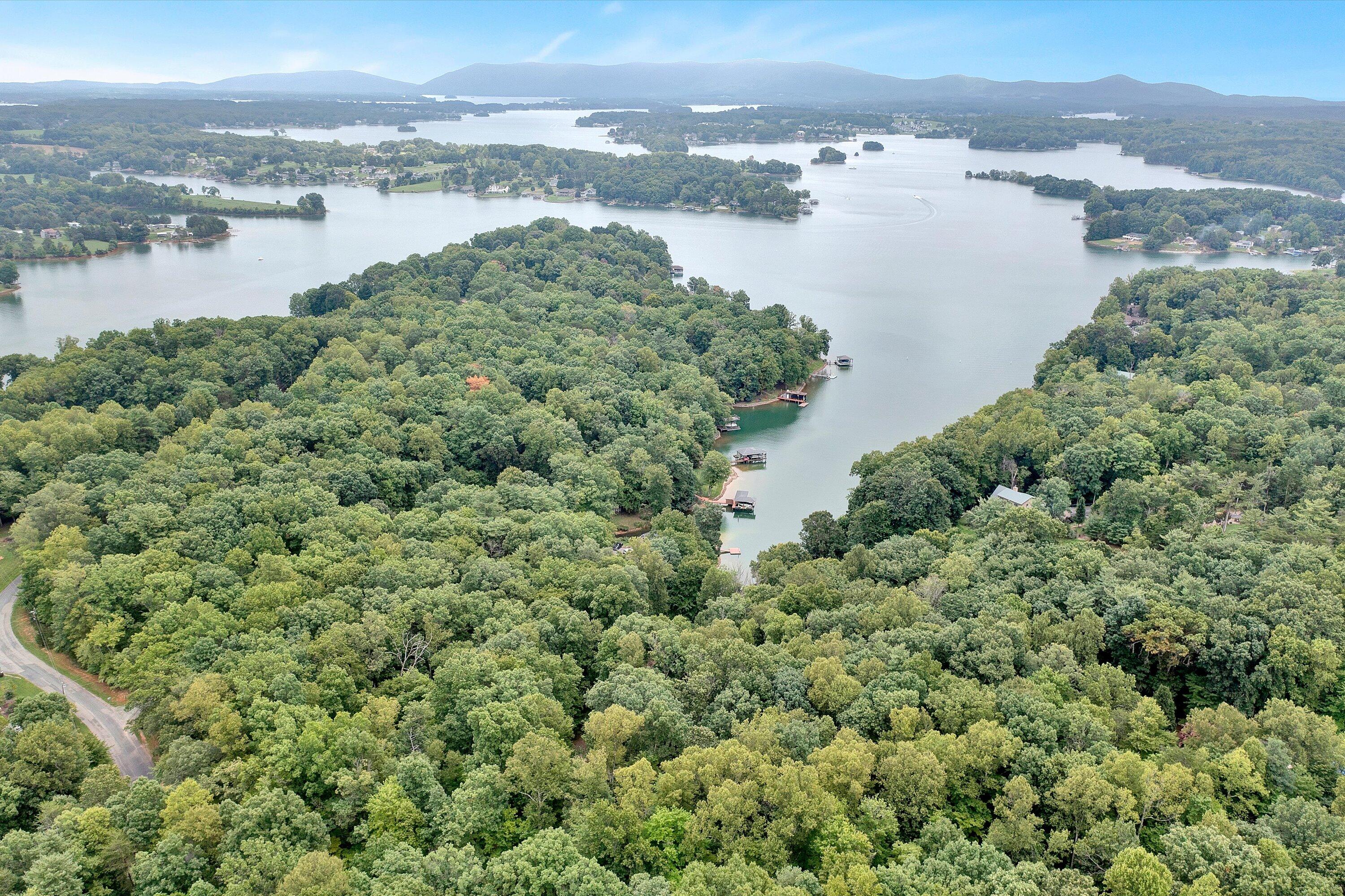 an aerial view of residential houses with outdoor space and lake view