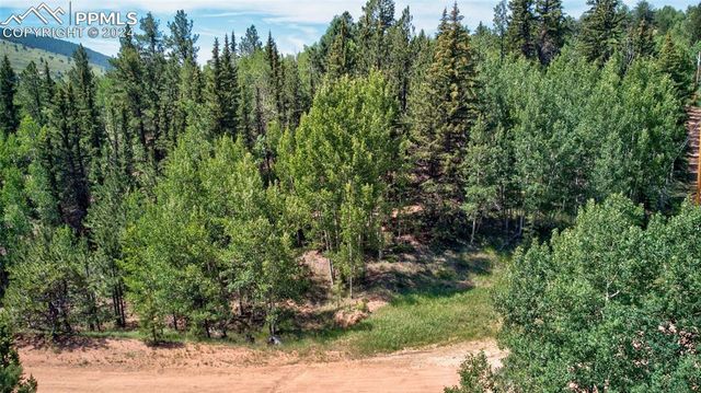 $55,000 | 158 Rattler Court | Cripple Creek Mountain Estates