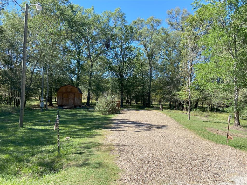 a view of a park that has a lots of trees and plants