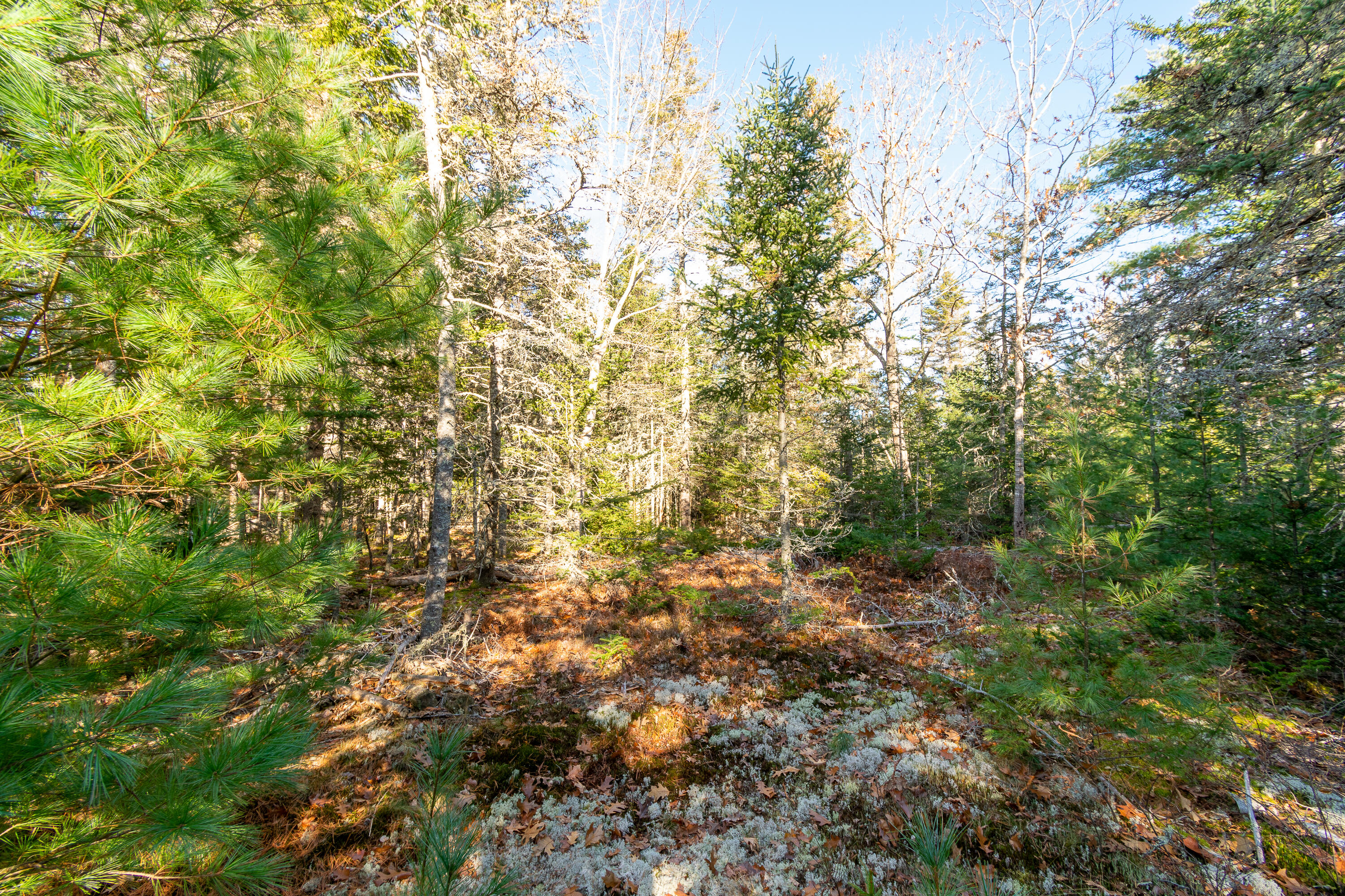 3 Eden Farm Road, Bar Harbor, ME