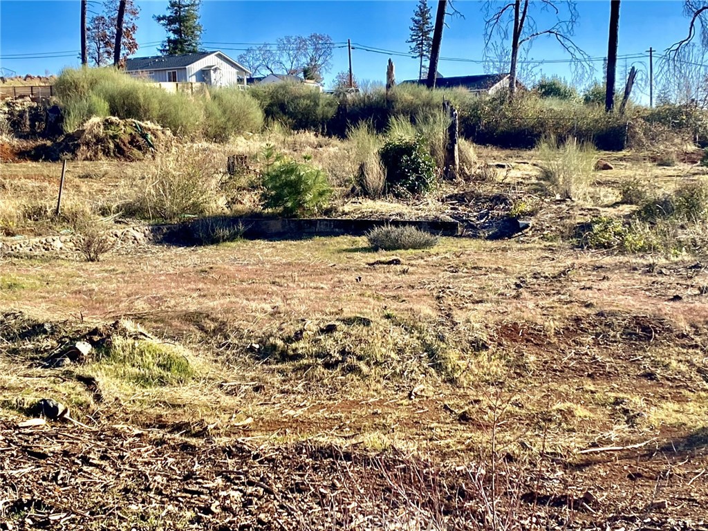 a view of a backyard of the house