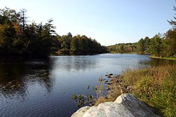 a view of lake with green space