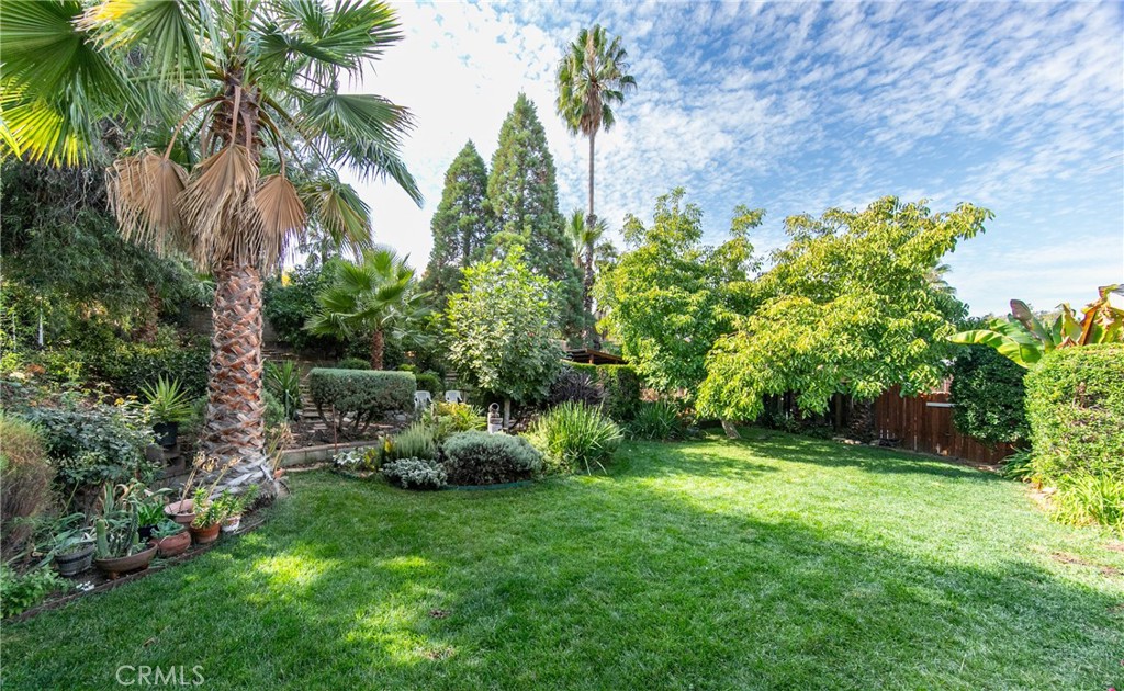 a backyard of a house with lots of green space