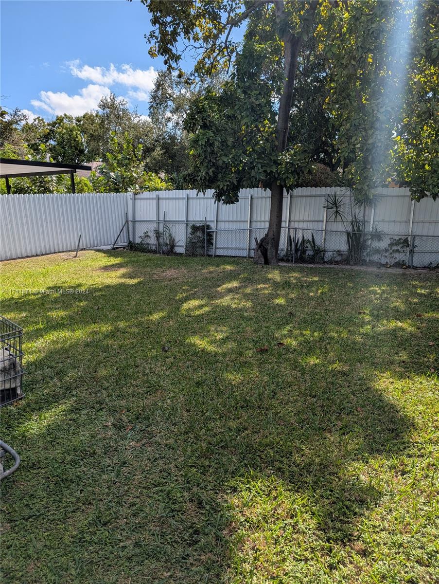 a view of a backyard with a large tree and wooden fence