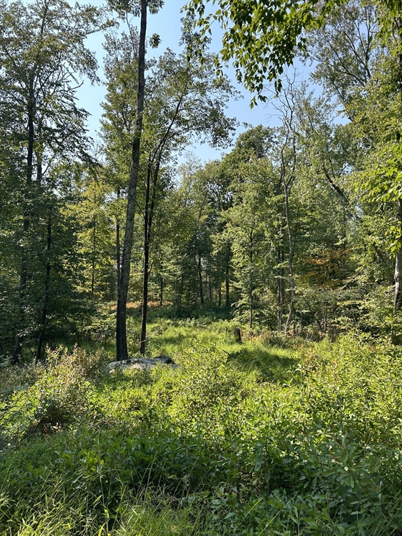 a view of outdoor space and a yard