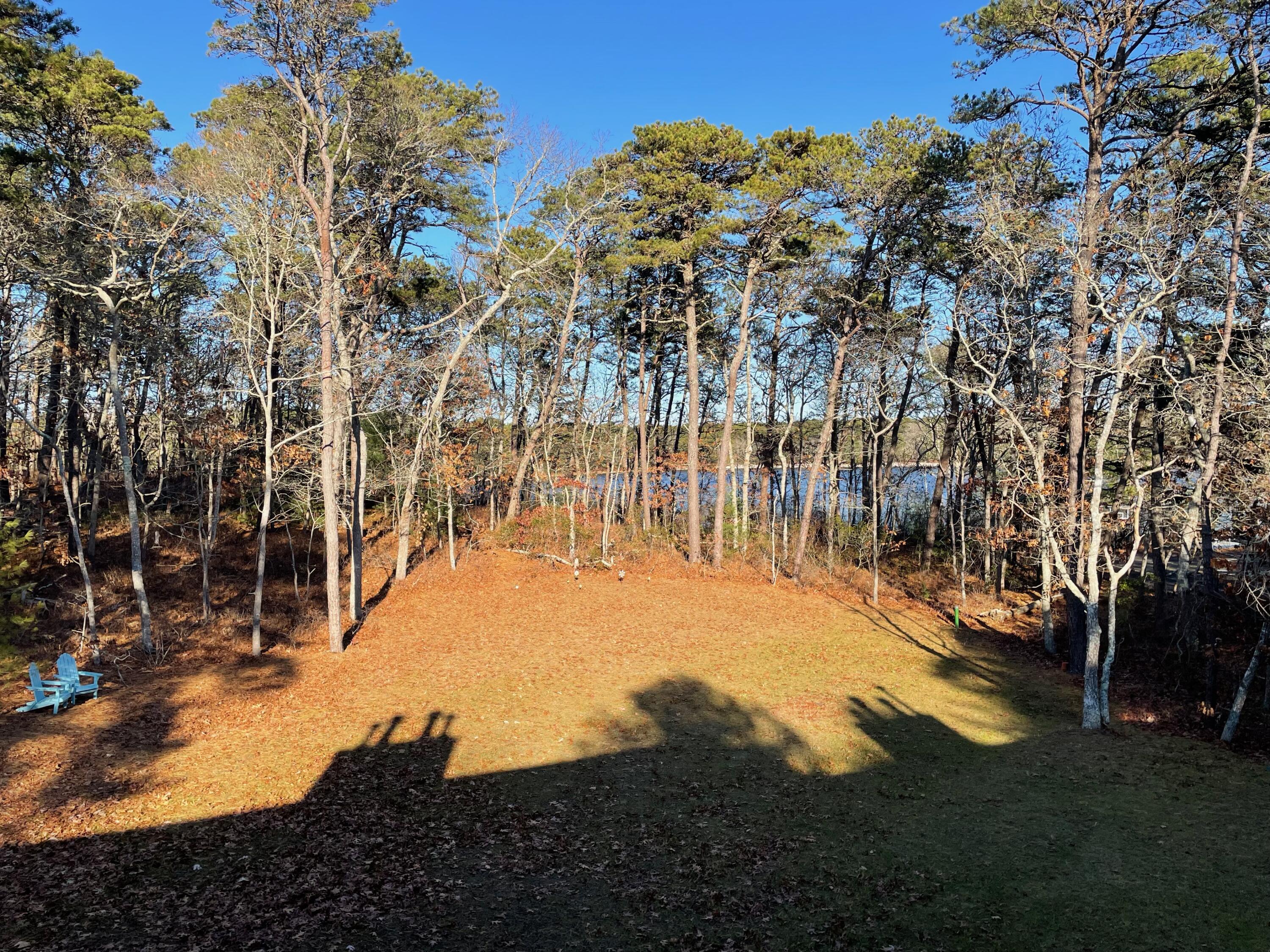 gorgeous pond & rear property views