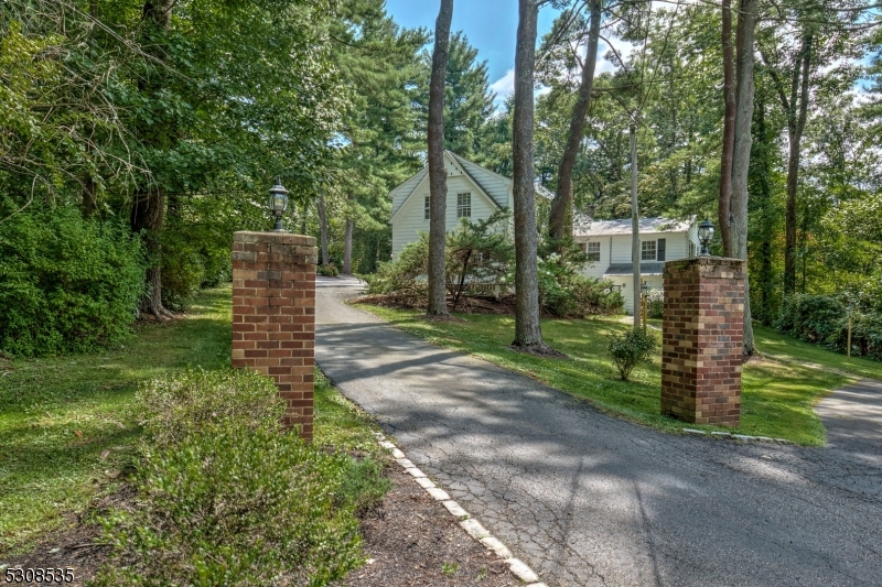 a view of a park with large trees