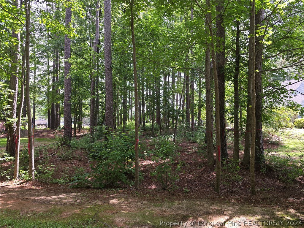 a view of outdoor space and trees