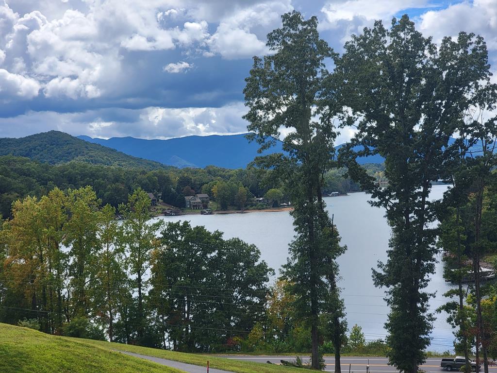 a view of lake with yard